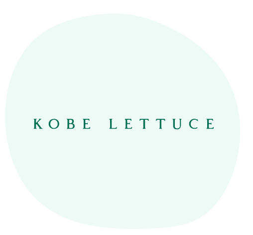 Kobe Lettuce testimonial