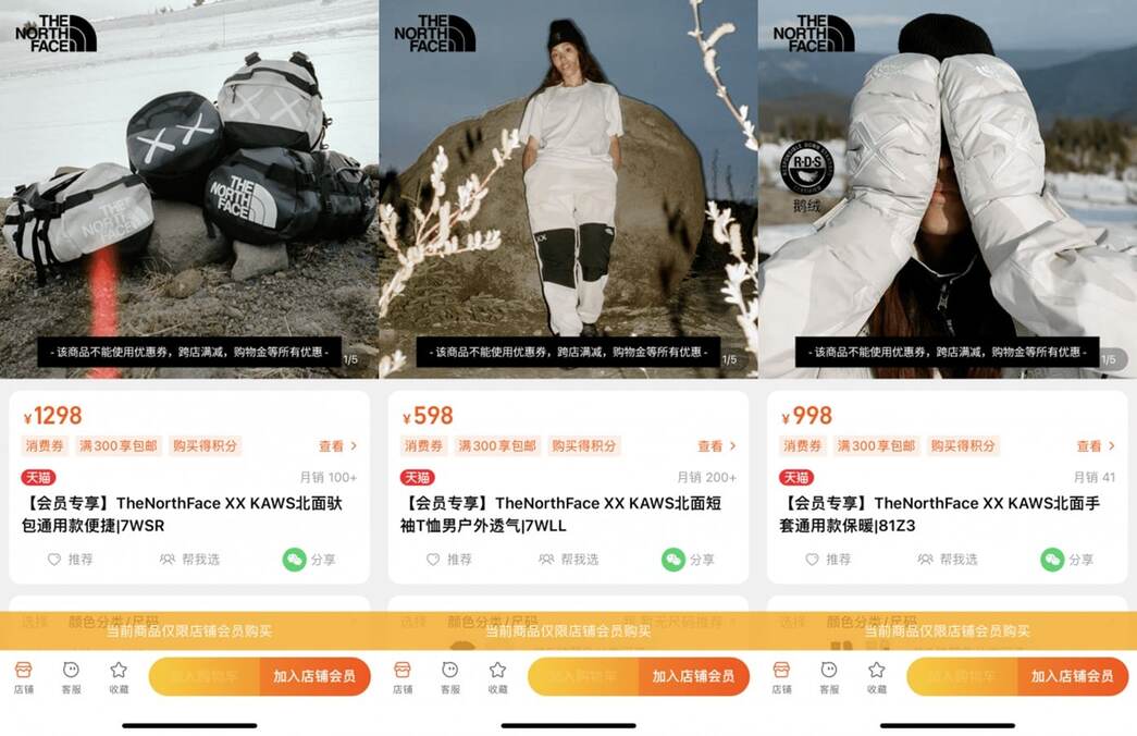 The North Face's exclsuive collaboration with KAWS on Tmall