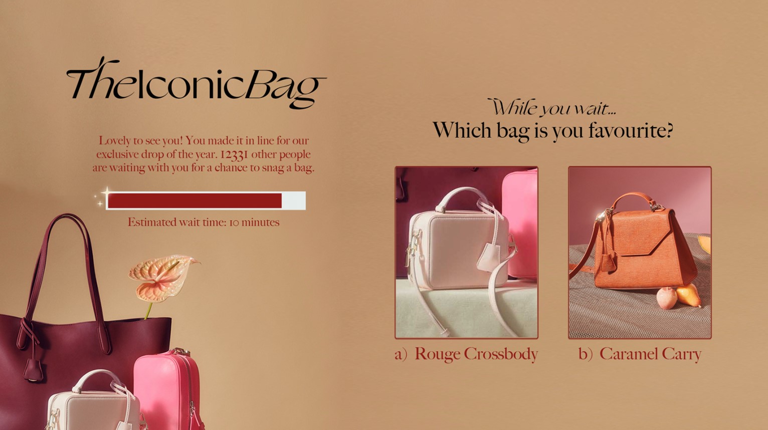Luxury bag queue page with quiz